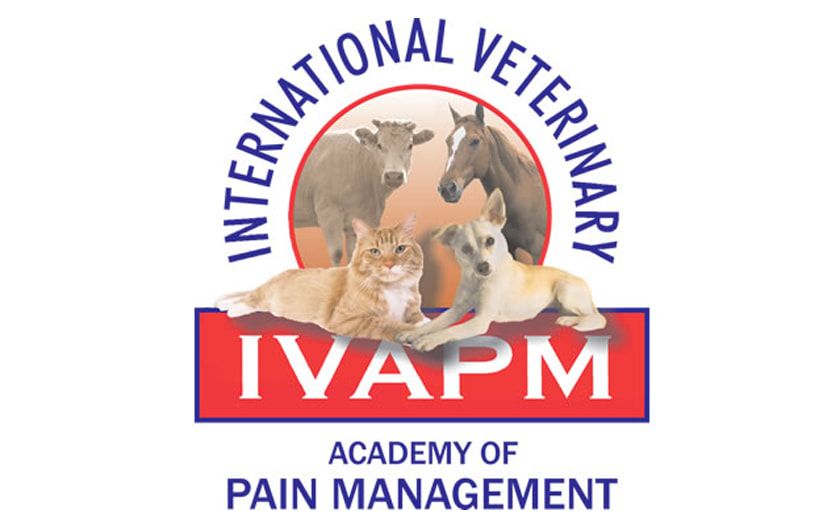 Pain Management Certification