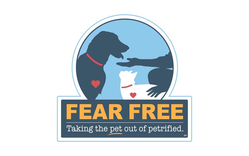 Fear Free certified care