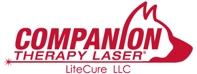 Saving Grace Animal Medical Center - laser therapy