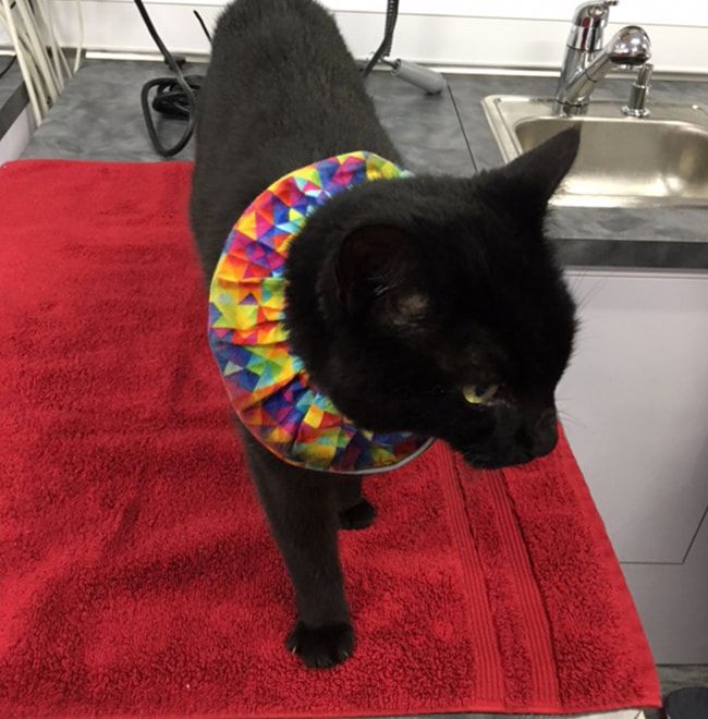 A Saving Grace patient