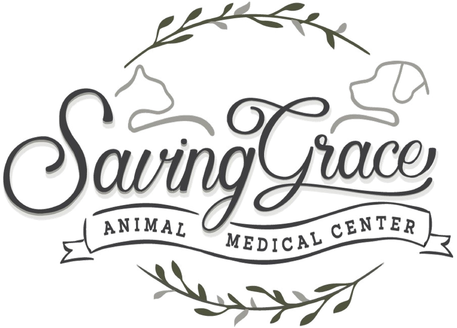 Saving Grace Animal Medical Center