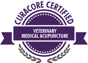 Saving Grace Animal Medical Center - acupuncture